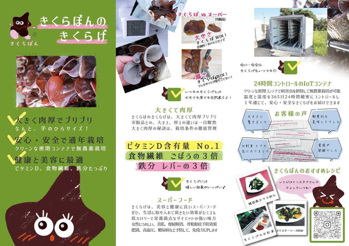 オフィスエヌパンフレット制作実績｜株式会社きくらぼ