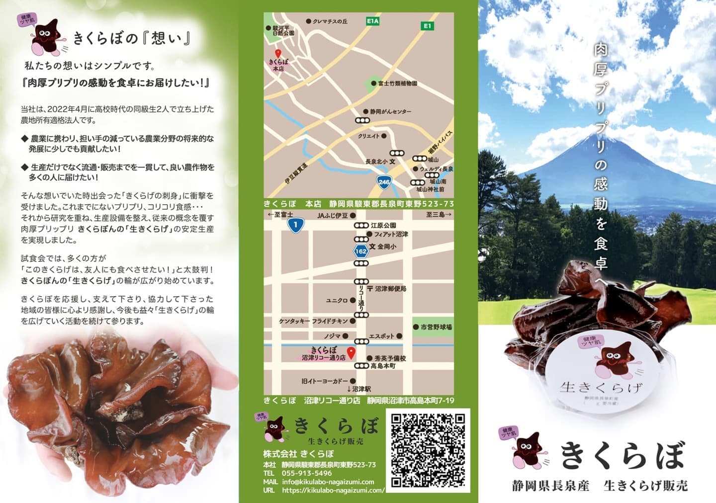 オフィスエヌパンフレット制作実績｜株式会社きくらぼ